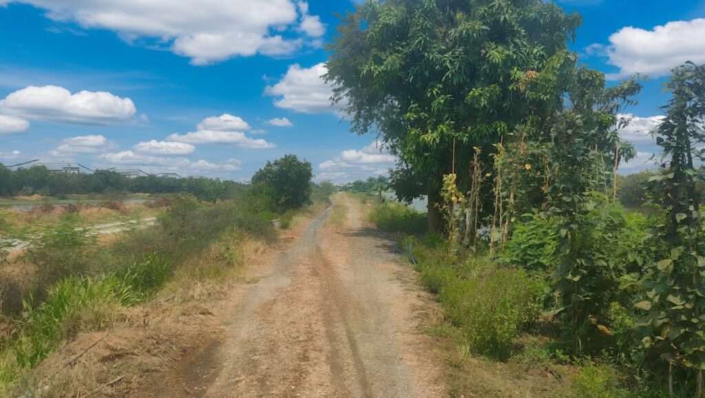 Rural land for house construction in Thailand with open sky and greenery.