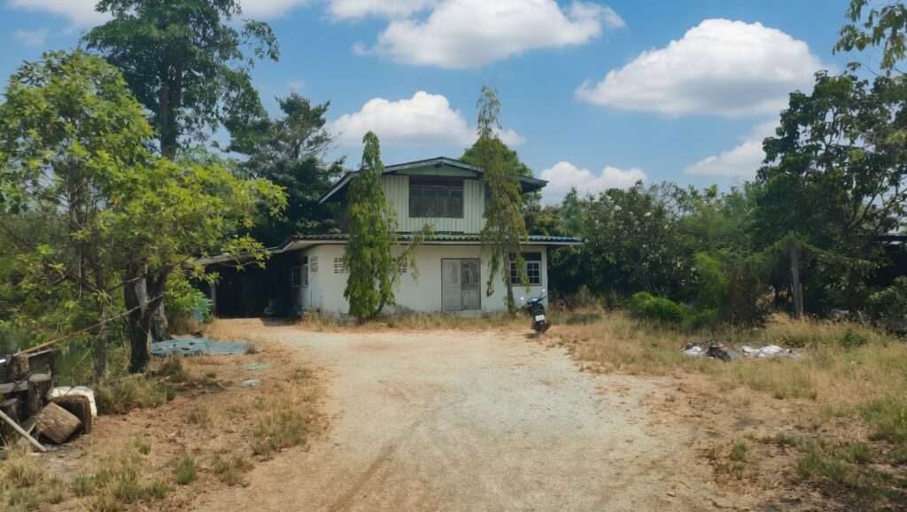 Affordable Thai house with lush greenery and open space.
